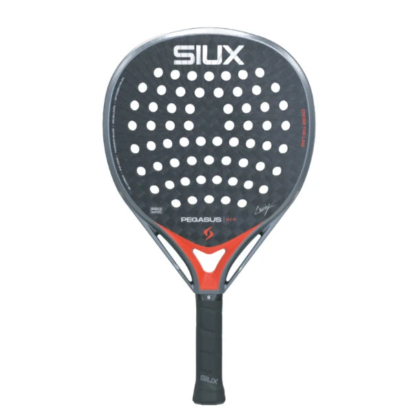 Siux Pegasus Pro